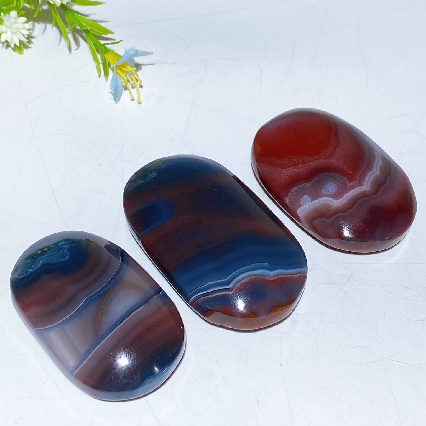 2.0"-2.5" Botswana Agate Palm Stone Bulk Wholesale