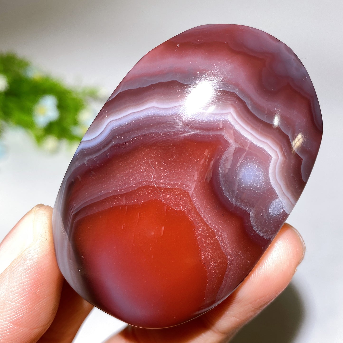 2.0"-2.5" Botswana Agate Palm Stone Bulk Wholesale