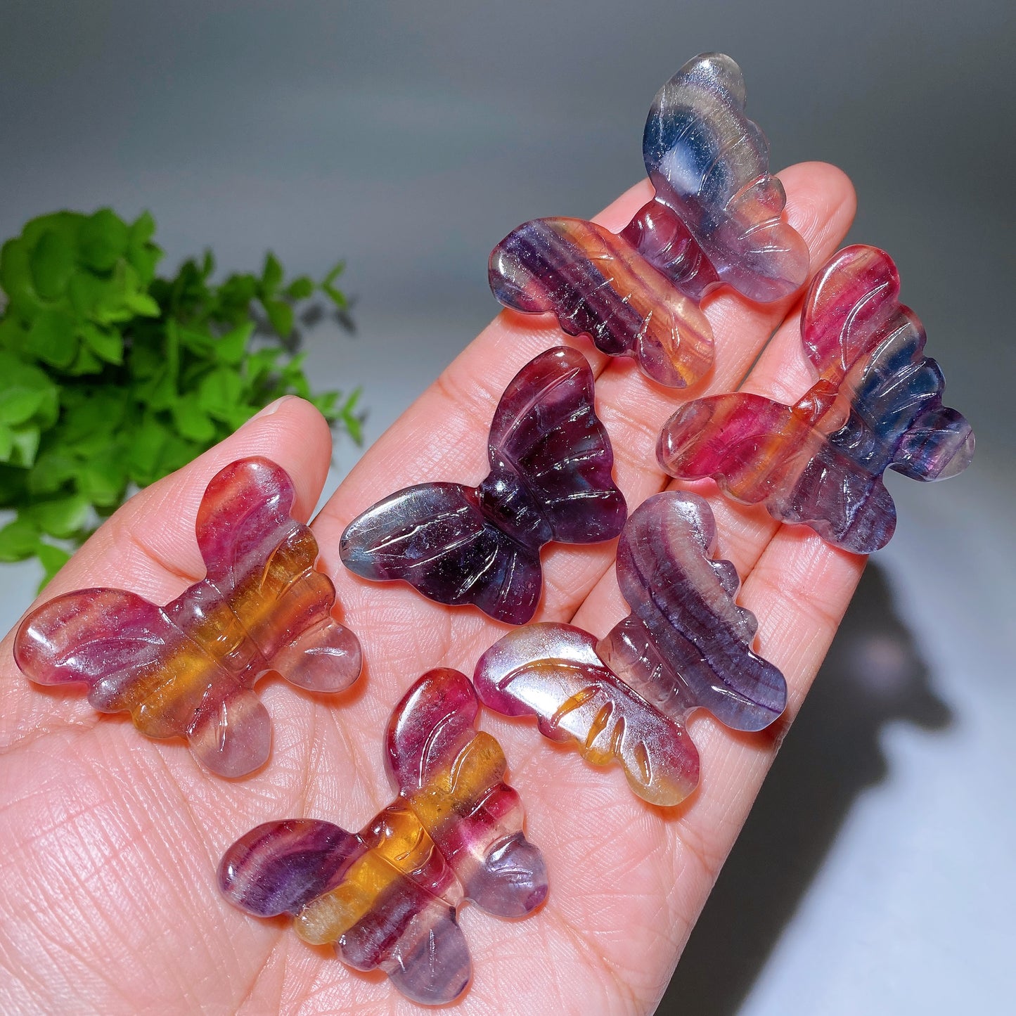 1.6" Rainbow Fluorite Butterfly Carving Bulk Wholesale