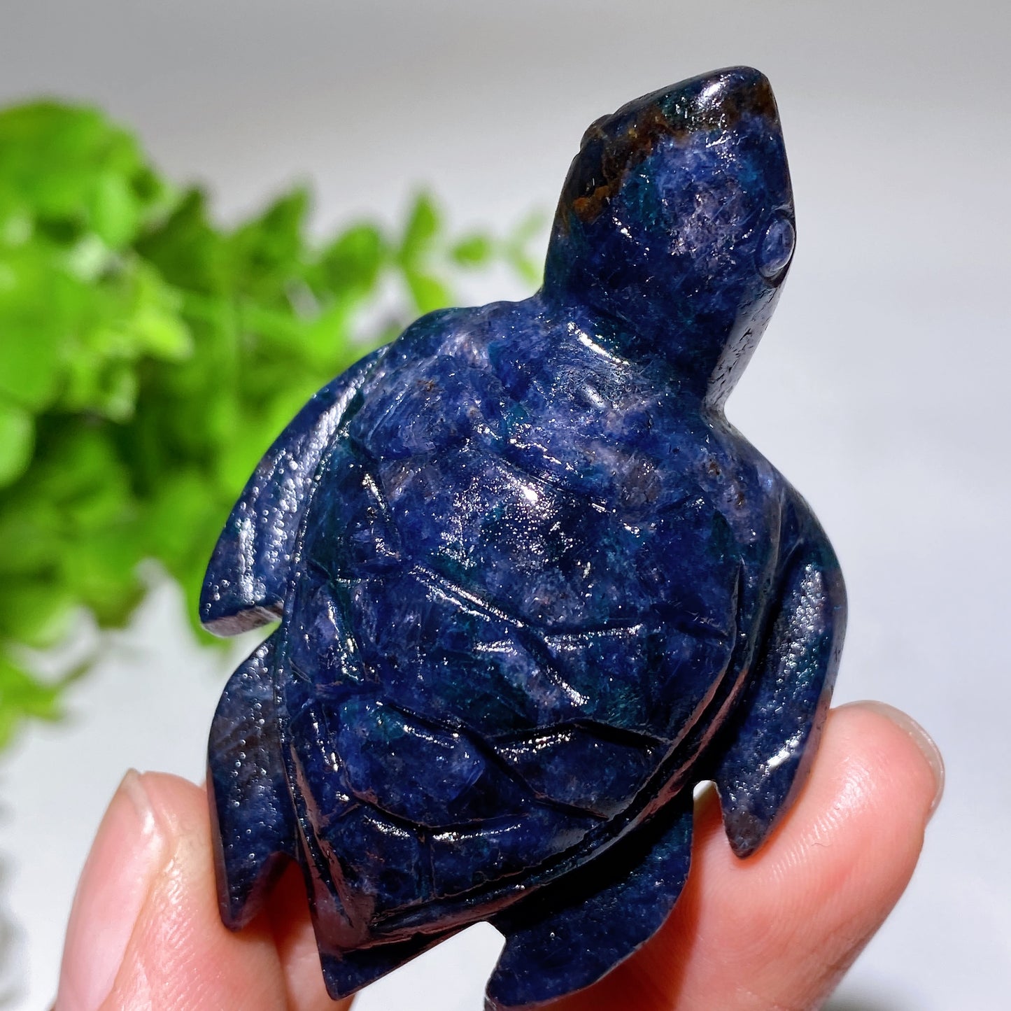 2.2"-3.2" Cordierite Turtle Carving Crystal Healing Bulk Wholesale
