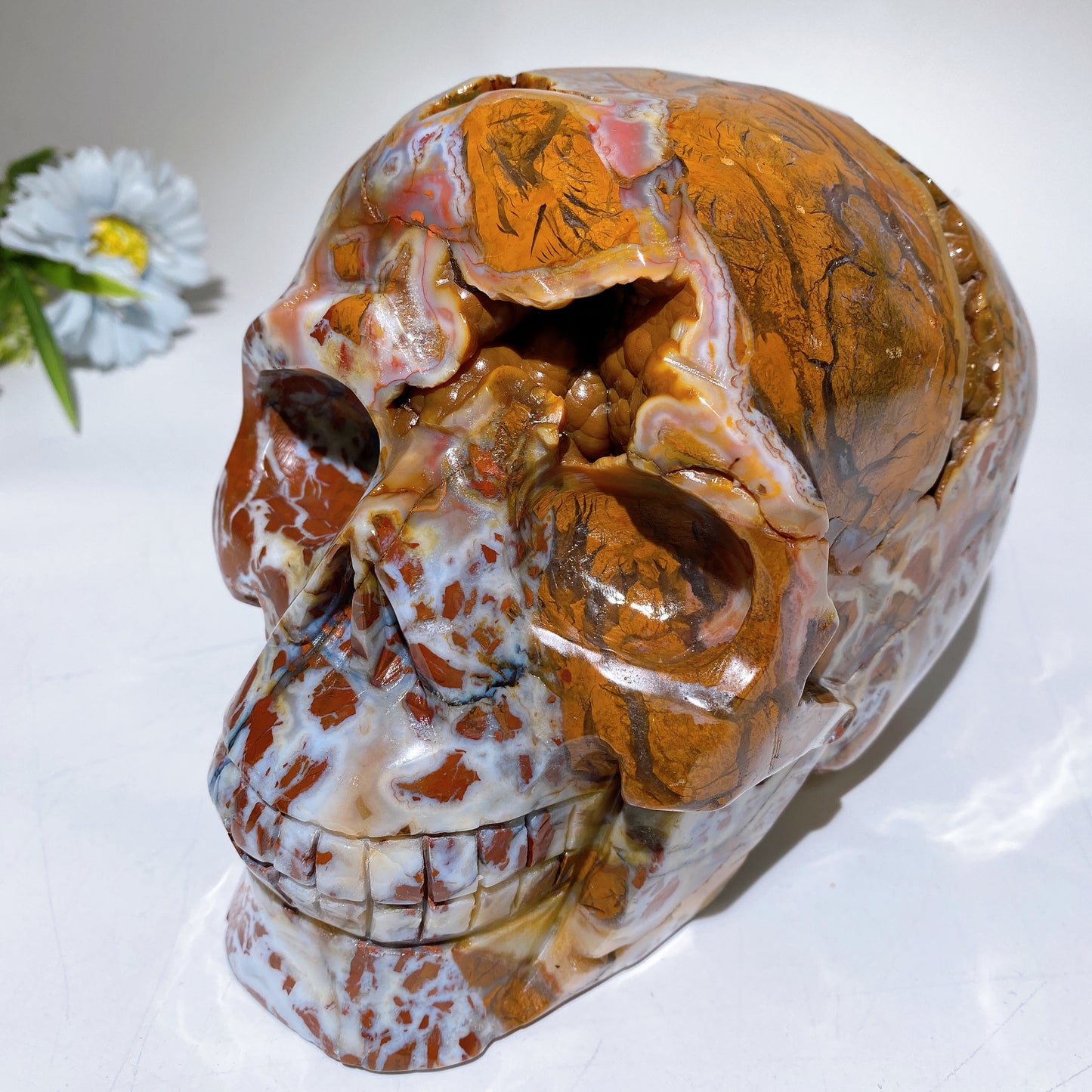 6.3" Large Unique Brecciated Agate Skull Crystal Healing Carving