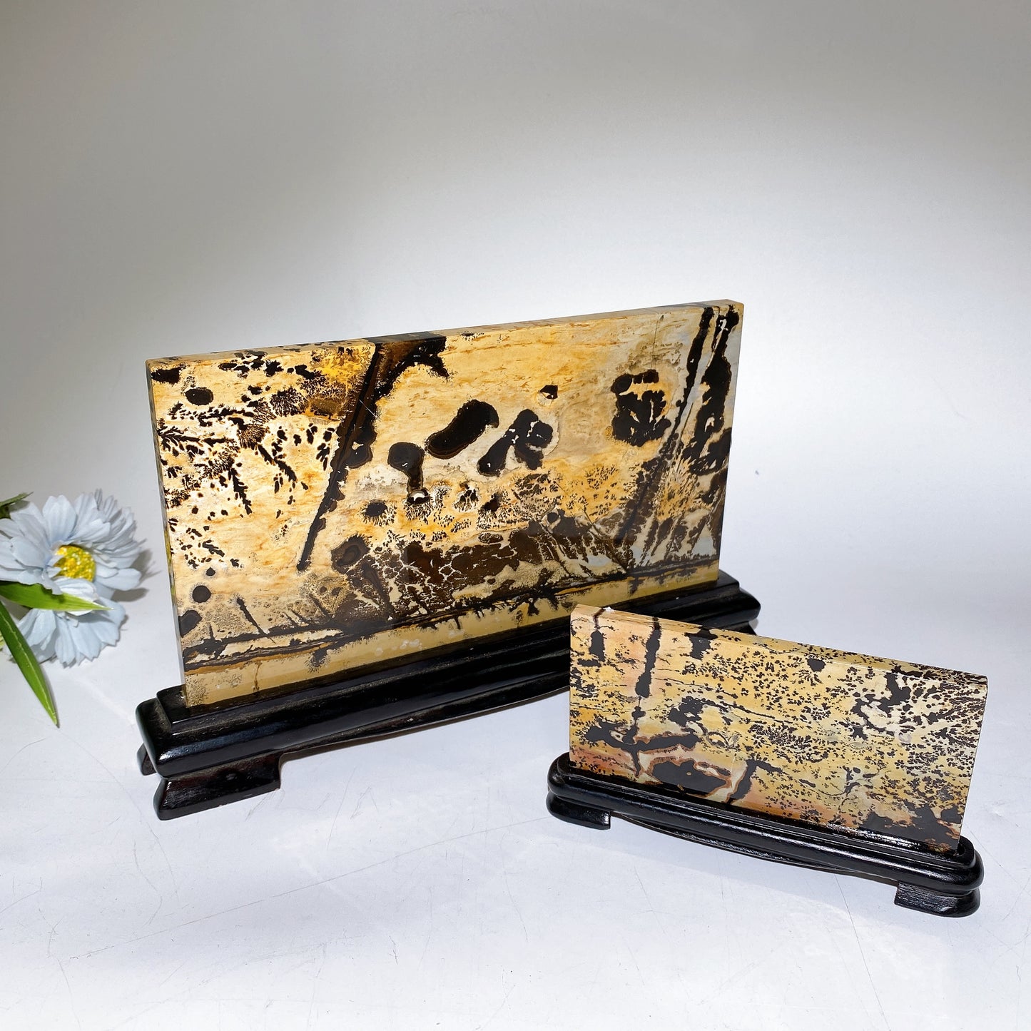 12cm 22cm Picture Jasper Rectangle Slab with Stand Free Form Crystal Healing Bulk Wholesale