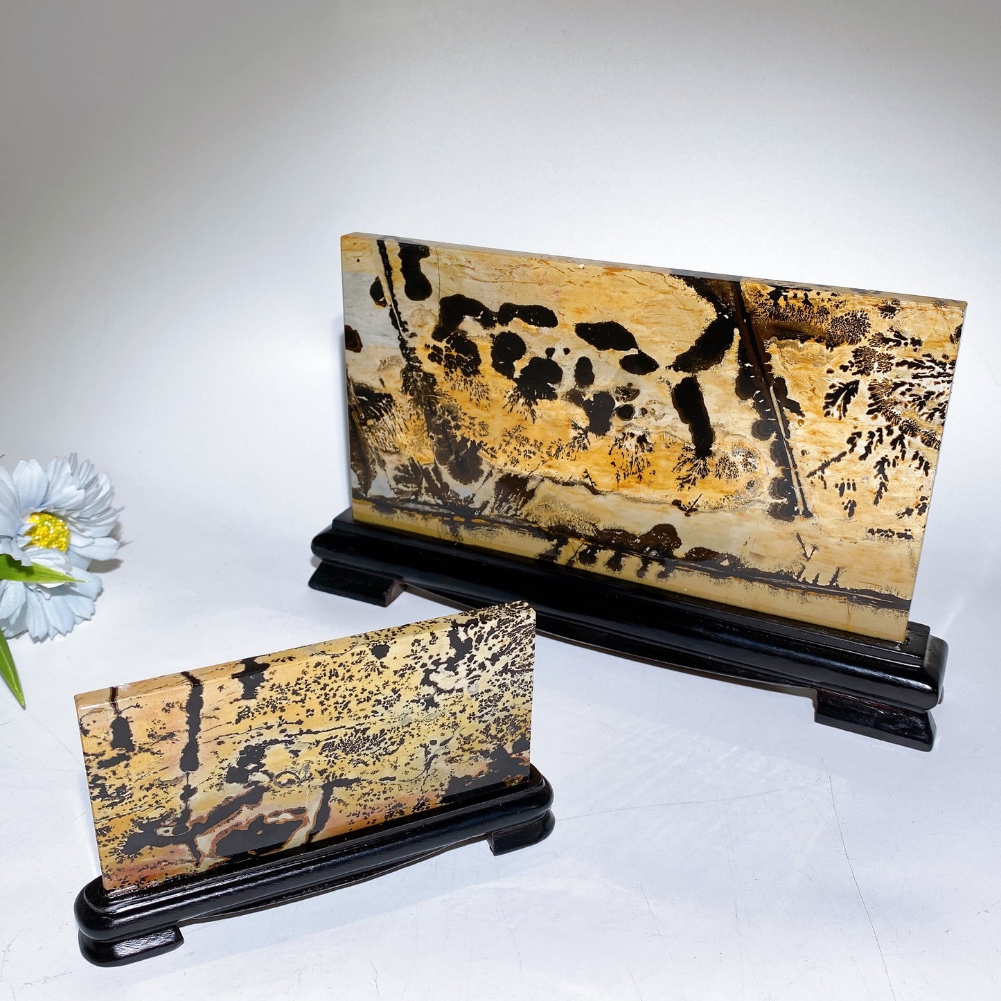 12cm 22cm Picture Jasper Rectangle Slab with Stand Free Form Crystal Healing Bulk Wholesale