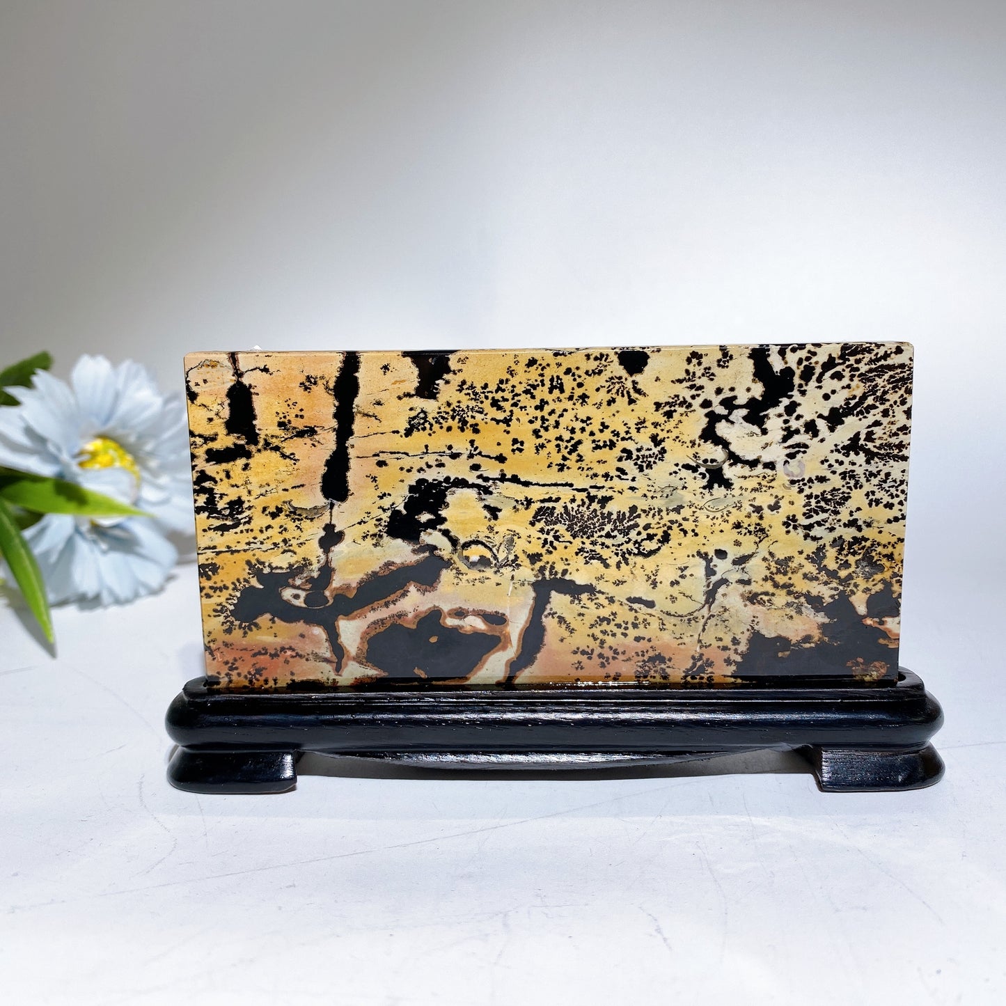 12cm 22cm Picture Jasper Rectangle Slab with Stand Free Form Crystal Healing Bulk Wholesale