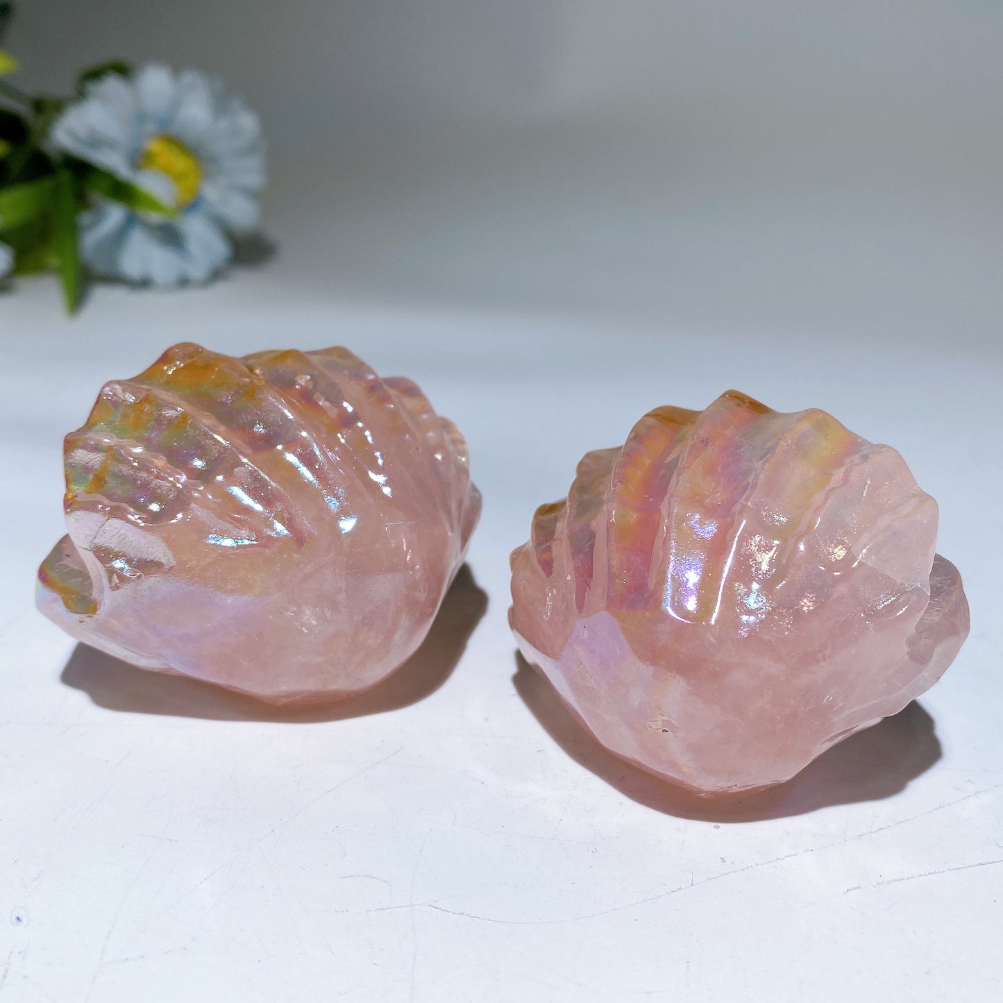 2.2" Aura Rose Quartz Shell Carving Crystal Healing Bulk Wholesale
