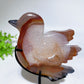 Druzy Agate Bird Carving with Stand Free Form Crystal Healing Bulk Wholesale