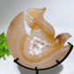 Druzy Agate Squirrel Carving with Stand Free Form Crystal Healing Bulk Wholesale