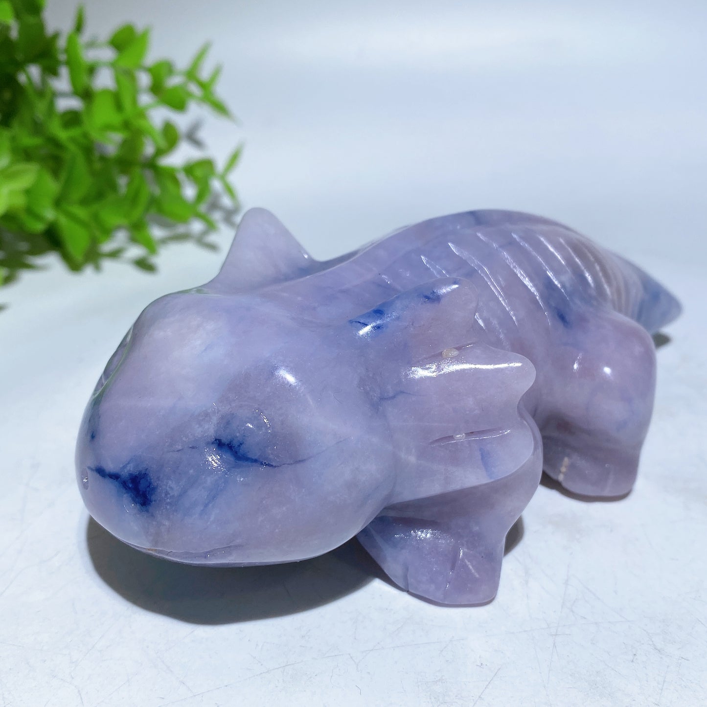 5.6" Crystal Salamander Carving Crystal Healing Bulk Wholesale