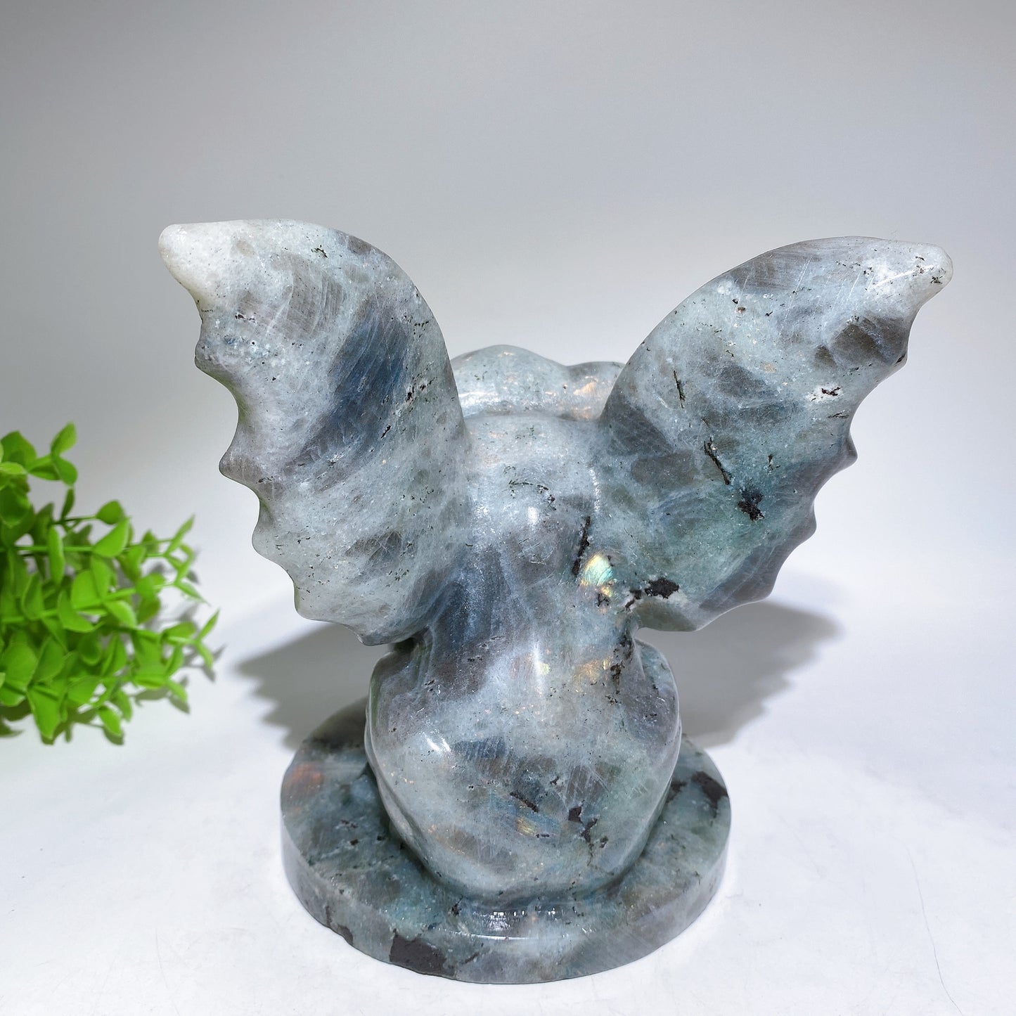 6.5" Labradorite Gargoyle Crystal Healing Carving Bulk Wholesale