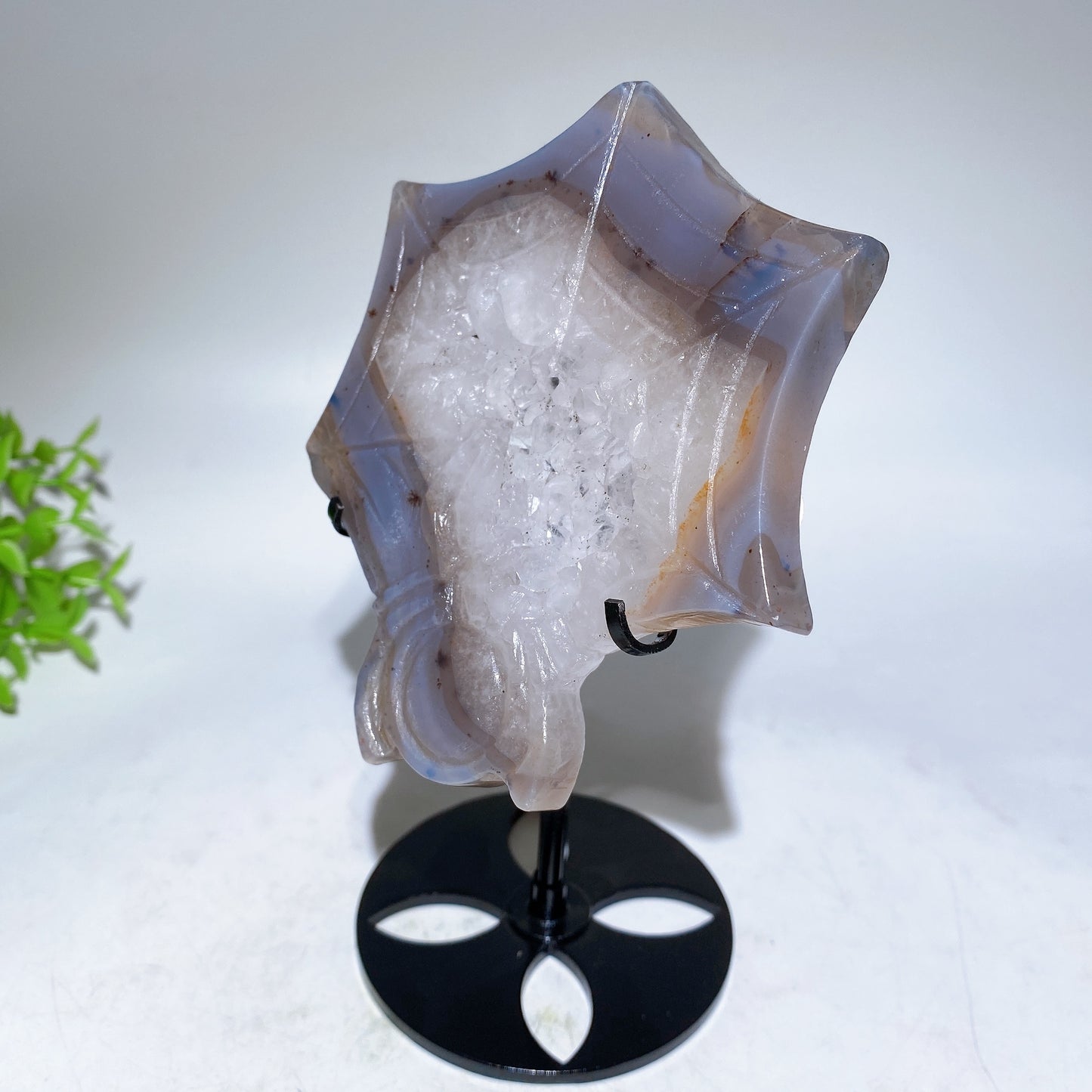 4.4" Druzy Agate Spider Web Carving with Stand Crystal Healing Bulk Wholesale