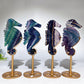Rainbow Fluorite Seahorse Carving with Stand Crystal Healing Bulk Wholesale