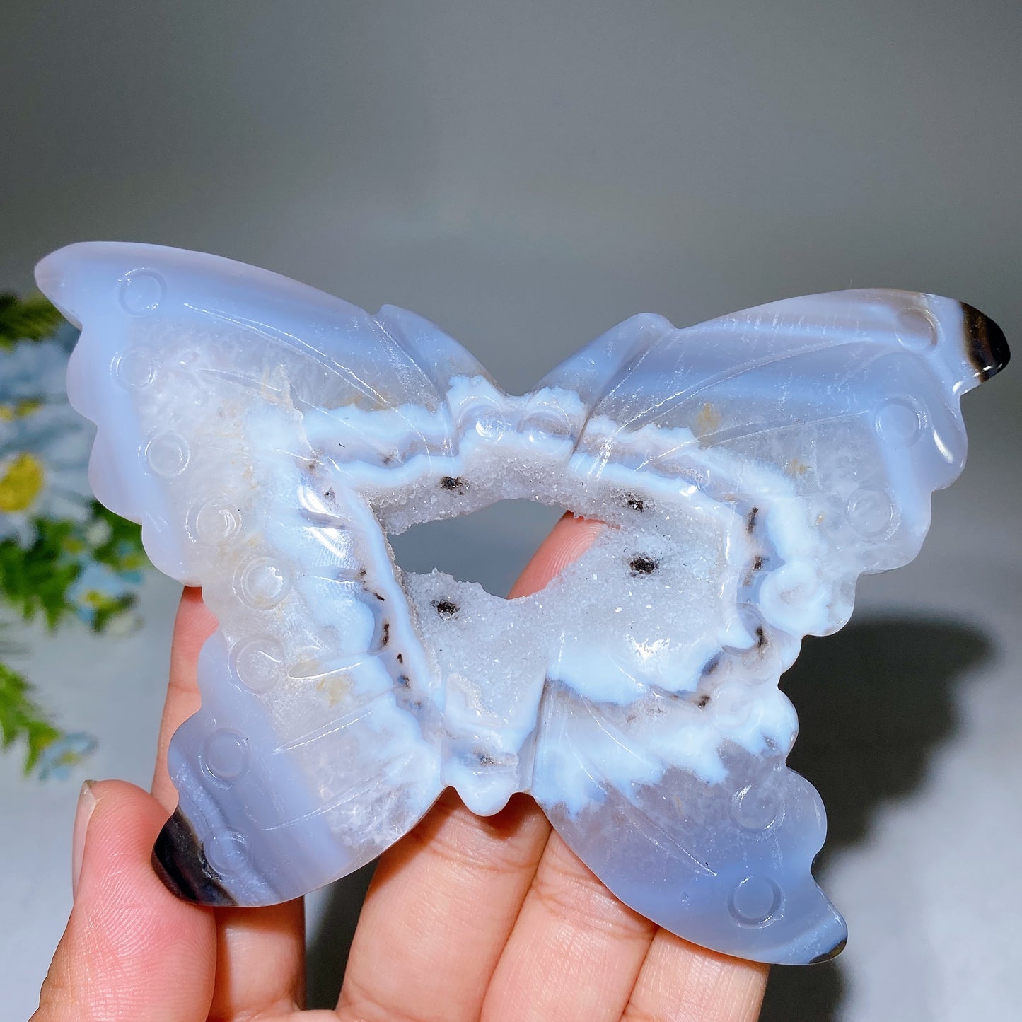 12cm Druzy Soft Candy Agate Butterfly Carving Crystal Healing Bulk Wholesale