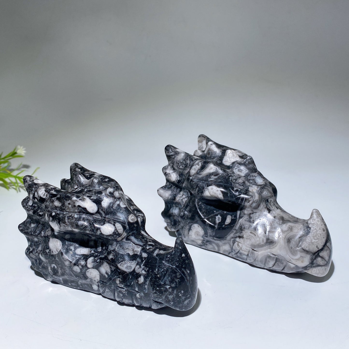 4.0"-4.6" Fossil Jasper Dragon Head Carving Crystal Healing Bulk Wholesale