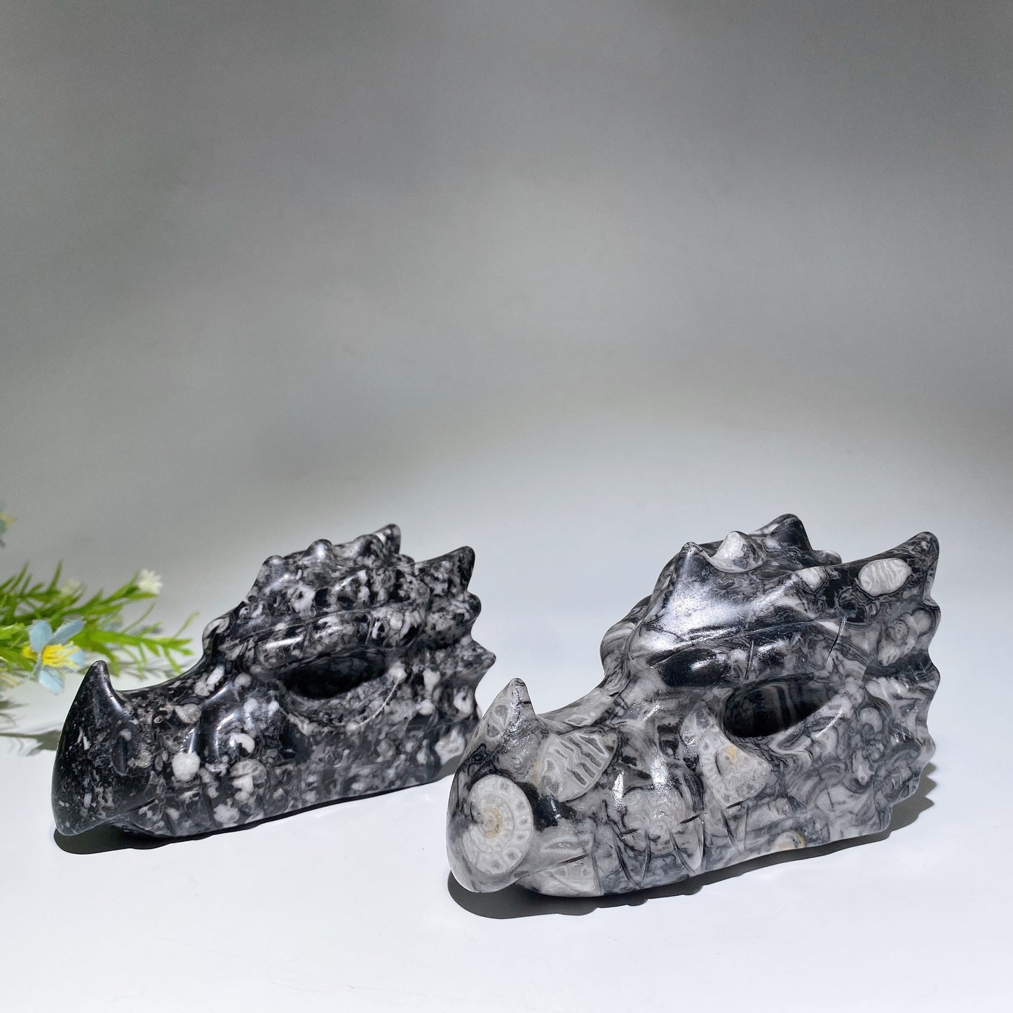 4.0"-4.6" Fossil Jasper Dragon Head Carving Crystal Healing Bulk Wholesale