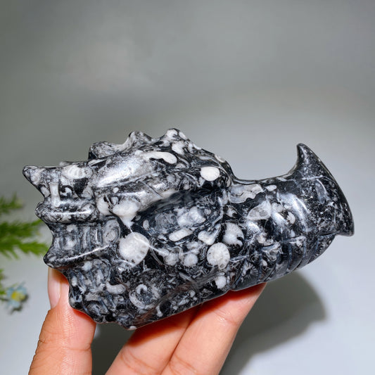 4.0"-4.6" Fossil Jasper Dragon Head Carving Crystal Healing Bulk Wholesale