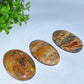 2.2" Crazy Agate Palm Stone Crystal Healing Bulk Wholesale