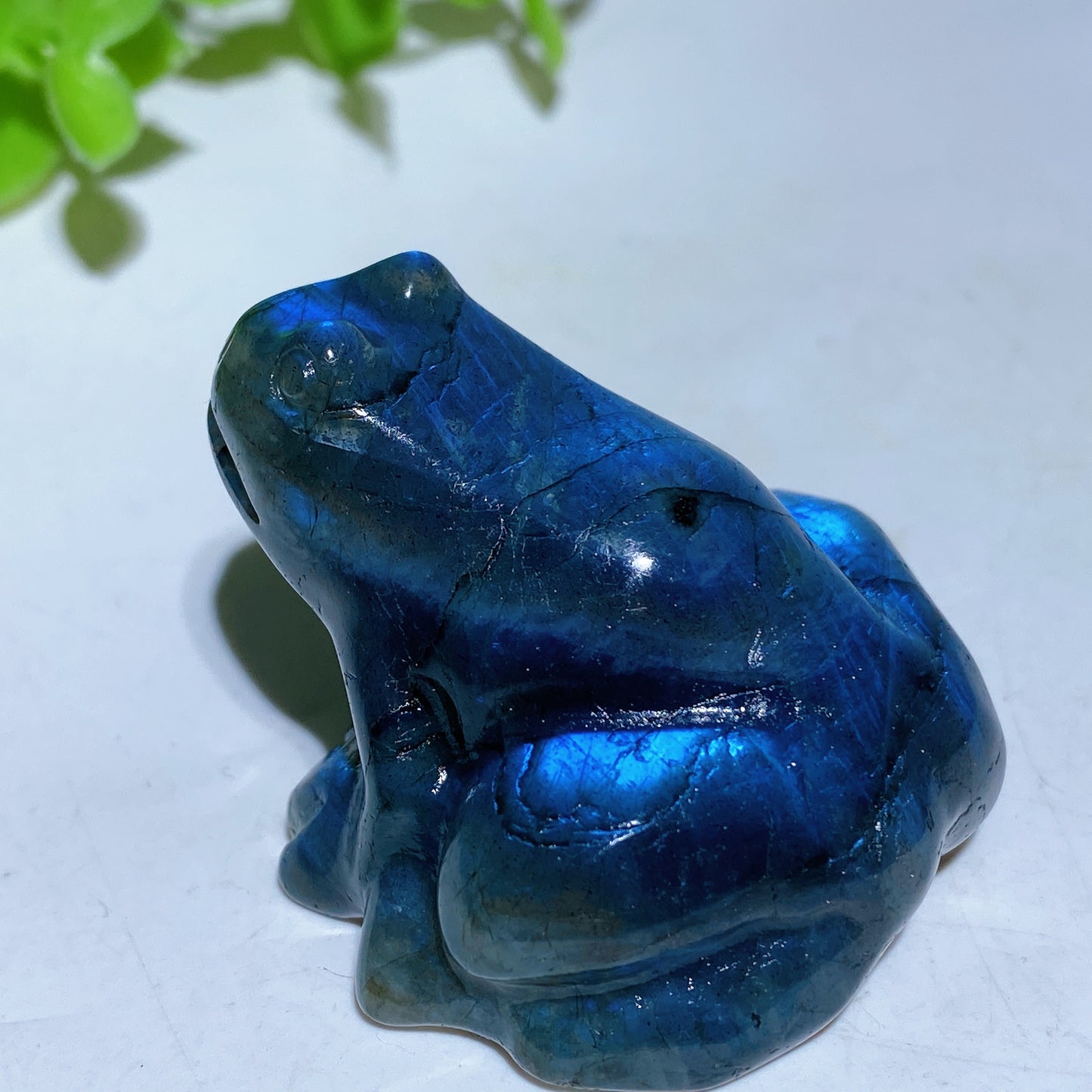 1.8" Labradorite Frog Carving Crystal Healing Bulk Wholesale