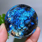 2.0" Labradorite Lion Round Slab Carving Crystal Healing Bulk Wholesale