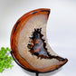 Druzy Sardonyx Moon Carving with Stand Crystal Healing Bulk Wholesale