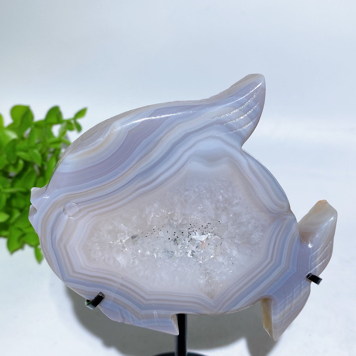 Druzy Agate Fish Carving with Stand Crystal Healing Bulk Wholesale
