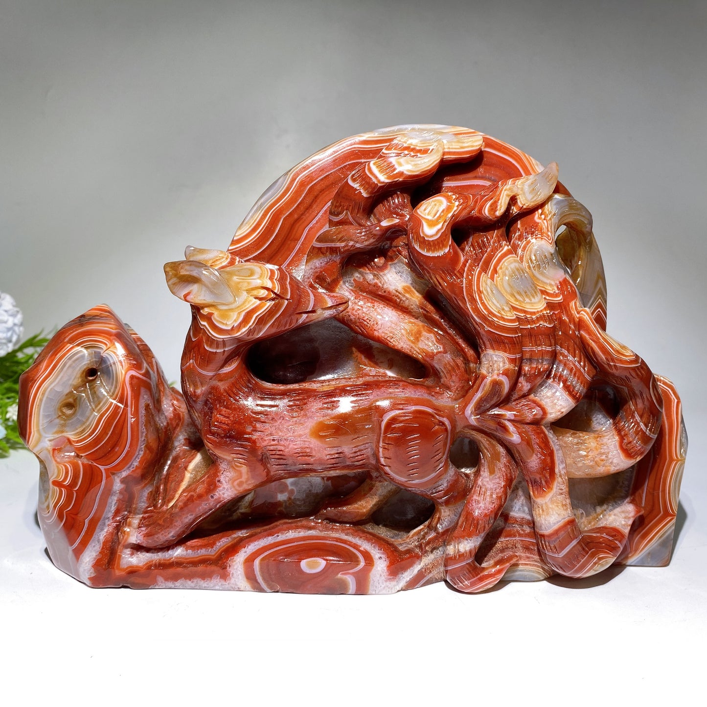 28cm Large Unique Sardonyx Nine-tails Fox Carving Crystal Healing Bulk Wholesale