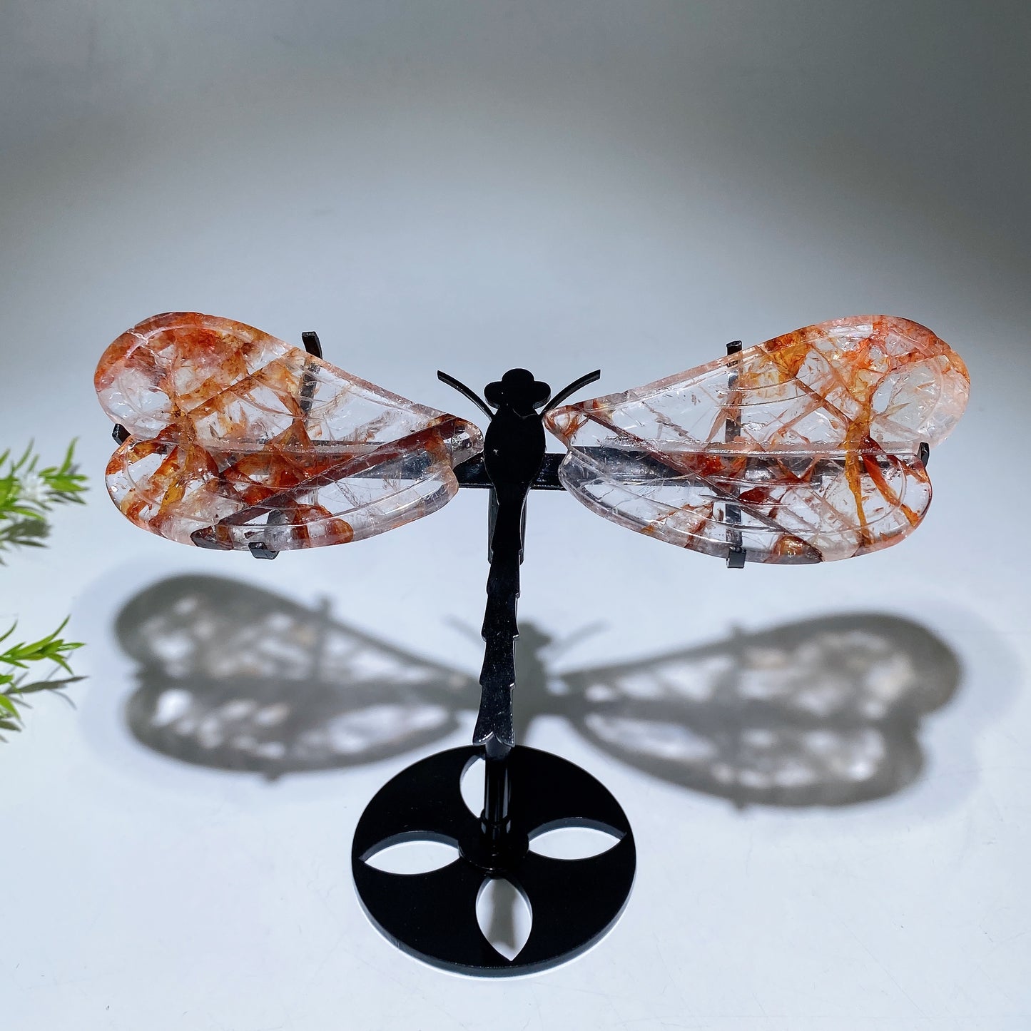 Fire Quartz Dragonfly Wings with Stand Crystal Healing Bulk Wholesale