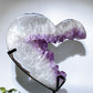 Large Unique Amethyst Cluster Angel's Heart Specimen with Stand Crystal Healing Bulk Wholesale