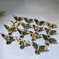 Ocean Jasper Butterfly Wings Carving with Stand Crystal Healing Bulk Wholesale