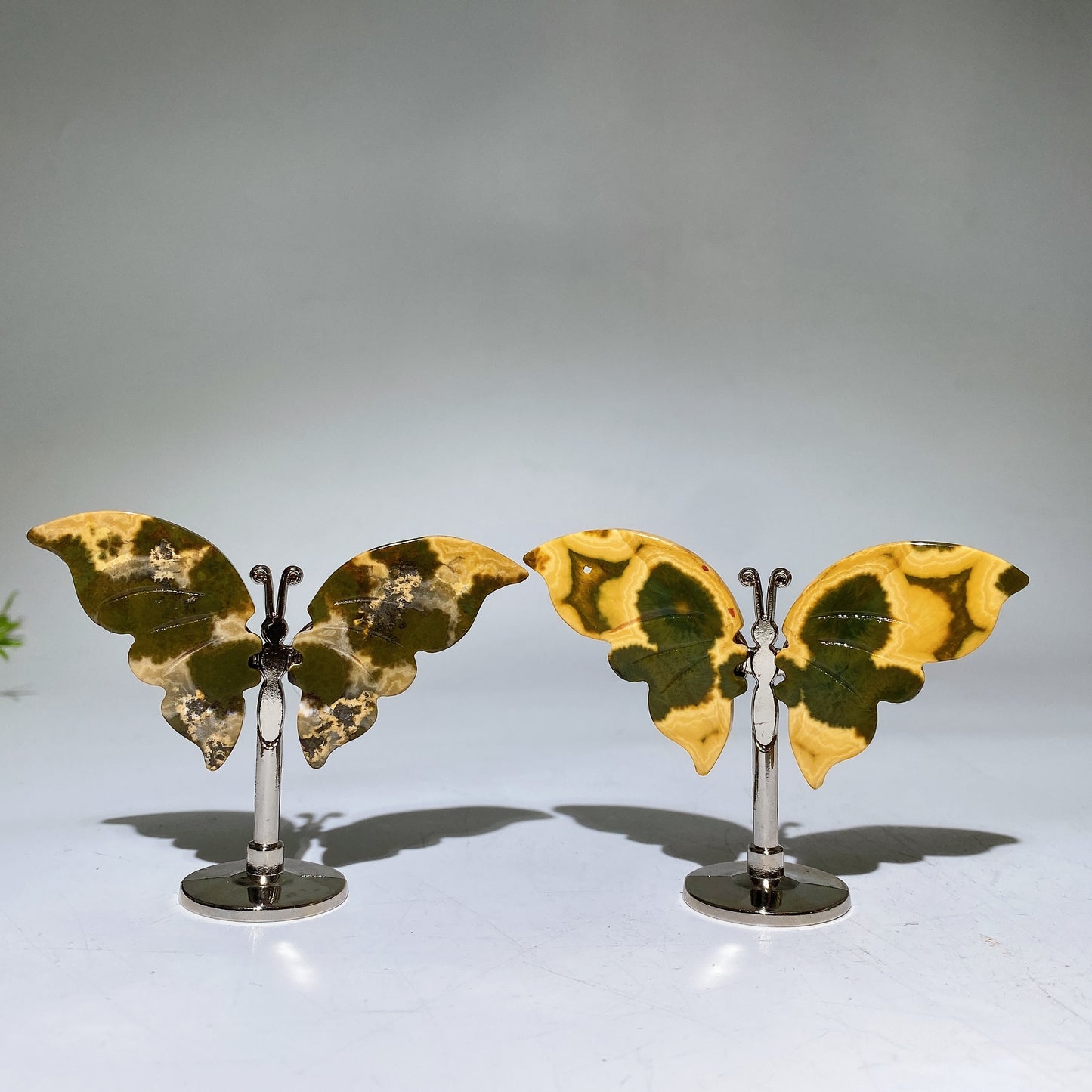 Ocean Jasper Butterfly Wings Carving with Stand Crystal Healing Bulk Wholesale
