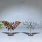 Ocean Jasper Butterfly Wings Carving with Stand Crystal Healing Bulk Wholesale