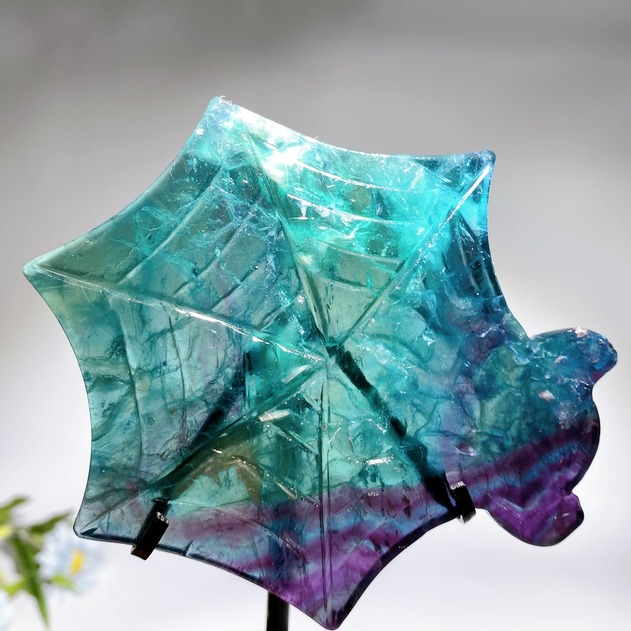 Druzy Agate Rainbow Fluorite Spider Web Carving Crystal Healing Bulk W ...