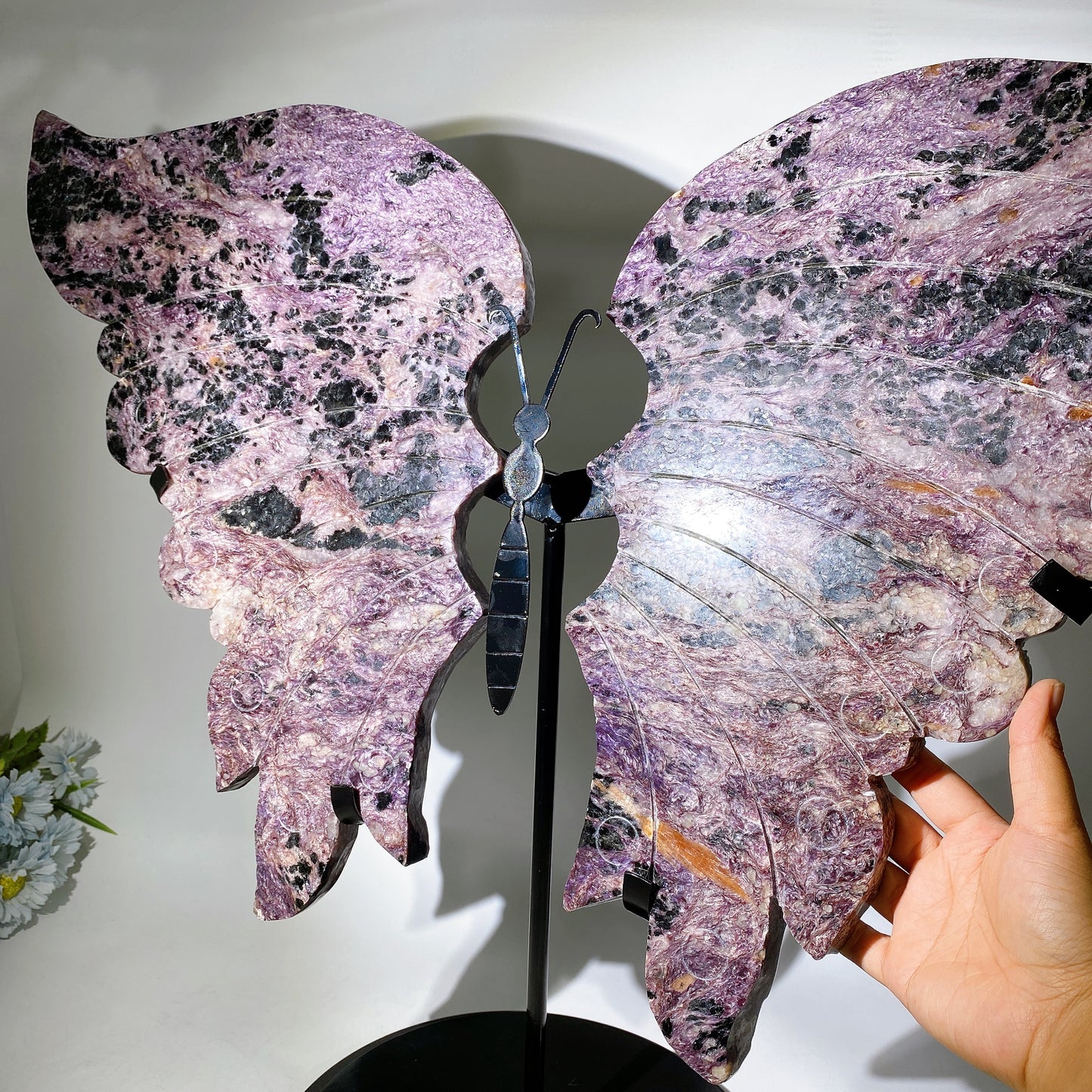 Large Unique Chaorite with Calcite Butterfly Wings with Stand Crystal Healing Bulk Wholesale