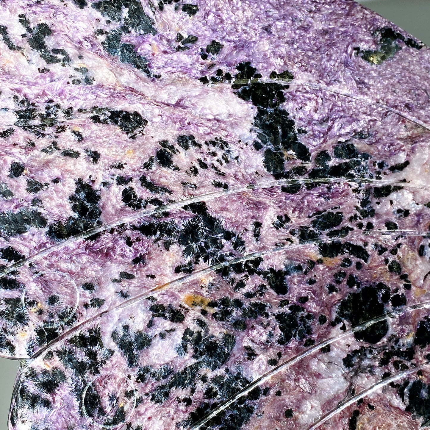 Large Unique Chaorite with Calcite Butterfly Wings with Stand Crystal Healing Bulk Wholesale