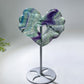 Rainbow Fluorite Heart Carving with Stand Crystal Healing Bulk Wholesale
