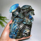 15cm Unique Hand Carved Labradorite Ocean World Shell Octopus Fish Coral Carving Crystal Healing Bulk Wholesale