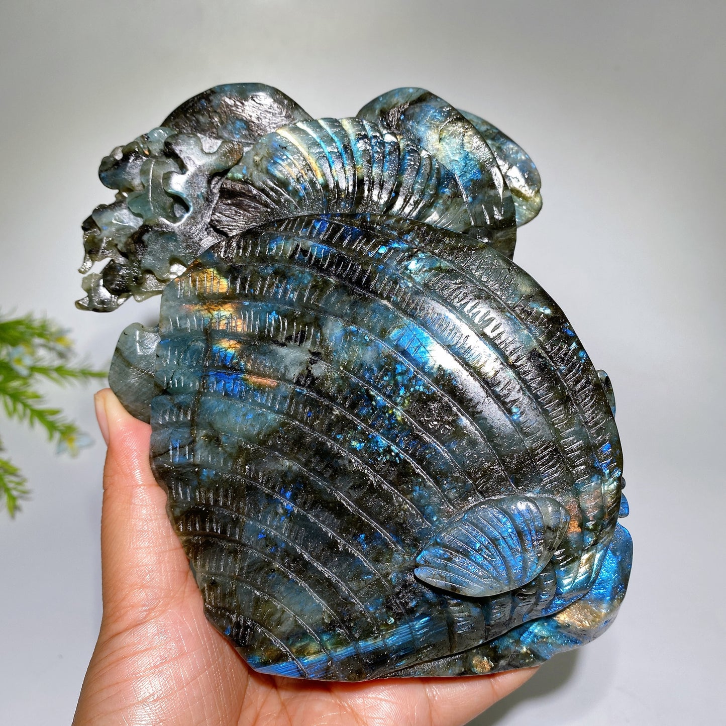 15cm Unique Hand Carved Labradorite Ocean World Shell Octopus Fish Coral Carving Crystal Healing Bulk Wholesale