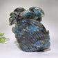15cm Unique Hand Carved Labradorite Ocean World Shell Octopus Fish Coral Carving Crystal Healing Bulk Wholesale