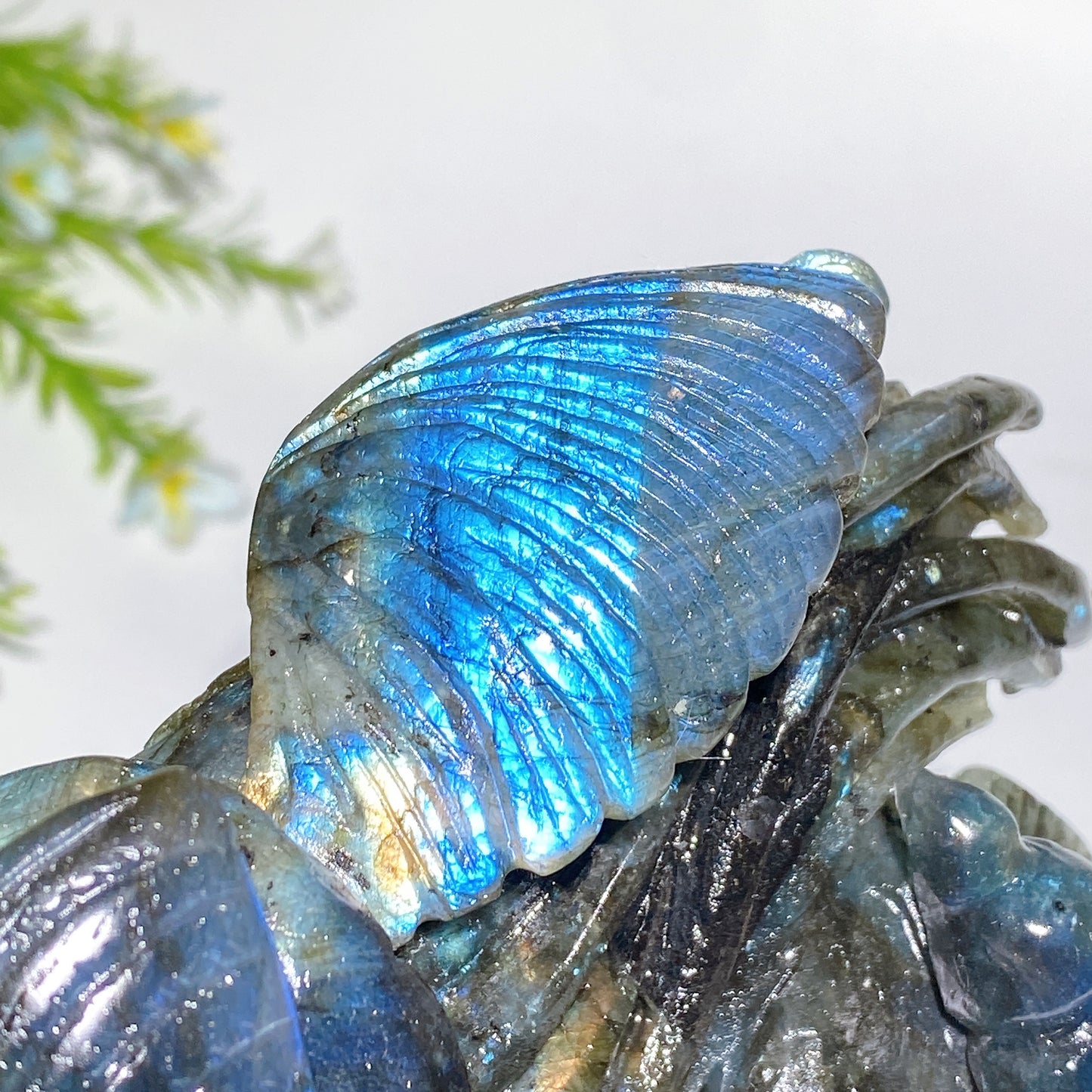 15cm Unique Hand Carved Labradorite Ocean World Shell Octopus Fish Coral Carving Crystal Healing Bulk Wholesale