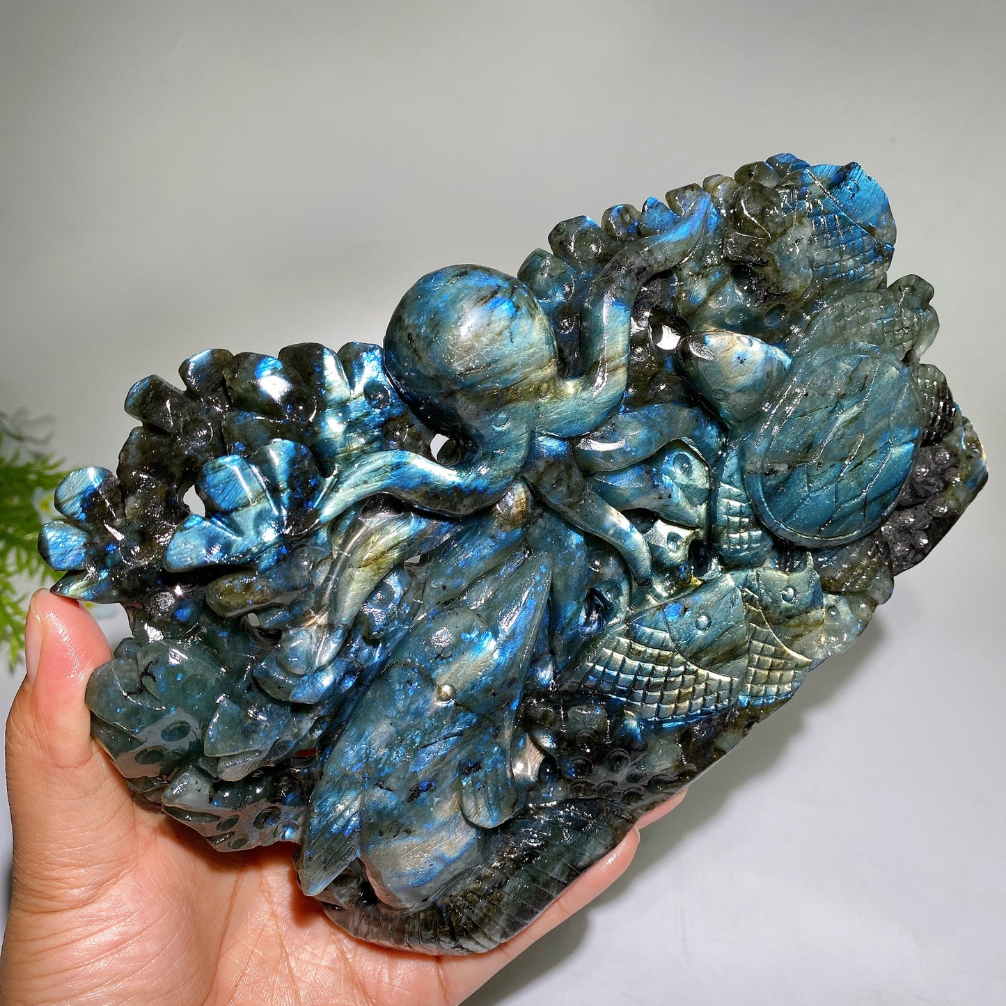 21cm Unique Hand Carved Labradorite Ocean World with Dolphin Octopus Fish Turtle Coral Carvings Free Form Crystal Healing Bulk Wholesale