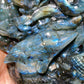 21cm Unique Hand Carved Labradorite Ocean World with Dolphin Octopus Fish Turtle Coral Carvings Free Form Crystal Healing Bulk Wholesale