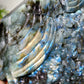 21cm Unique Hand Carved Labradorite Ocean World with Dolphin Octopus Fish Turtle Coral Carvings Free Form Crystal Healing Bulk Wholesale