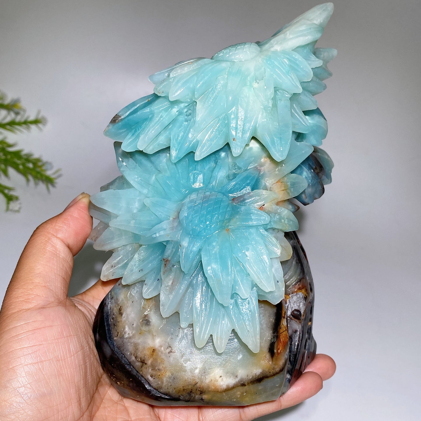 Unique Hand Carved Caribbean Calcite Sun Flowers Free Form Crystal Healing Bulk Wholesale