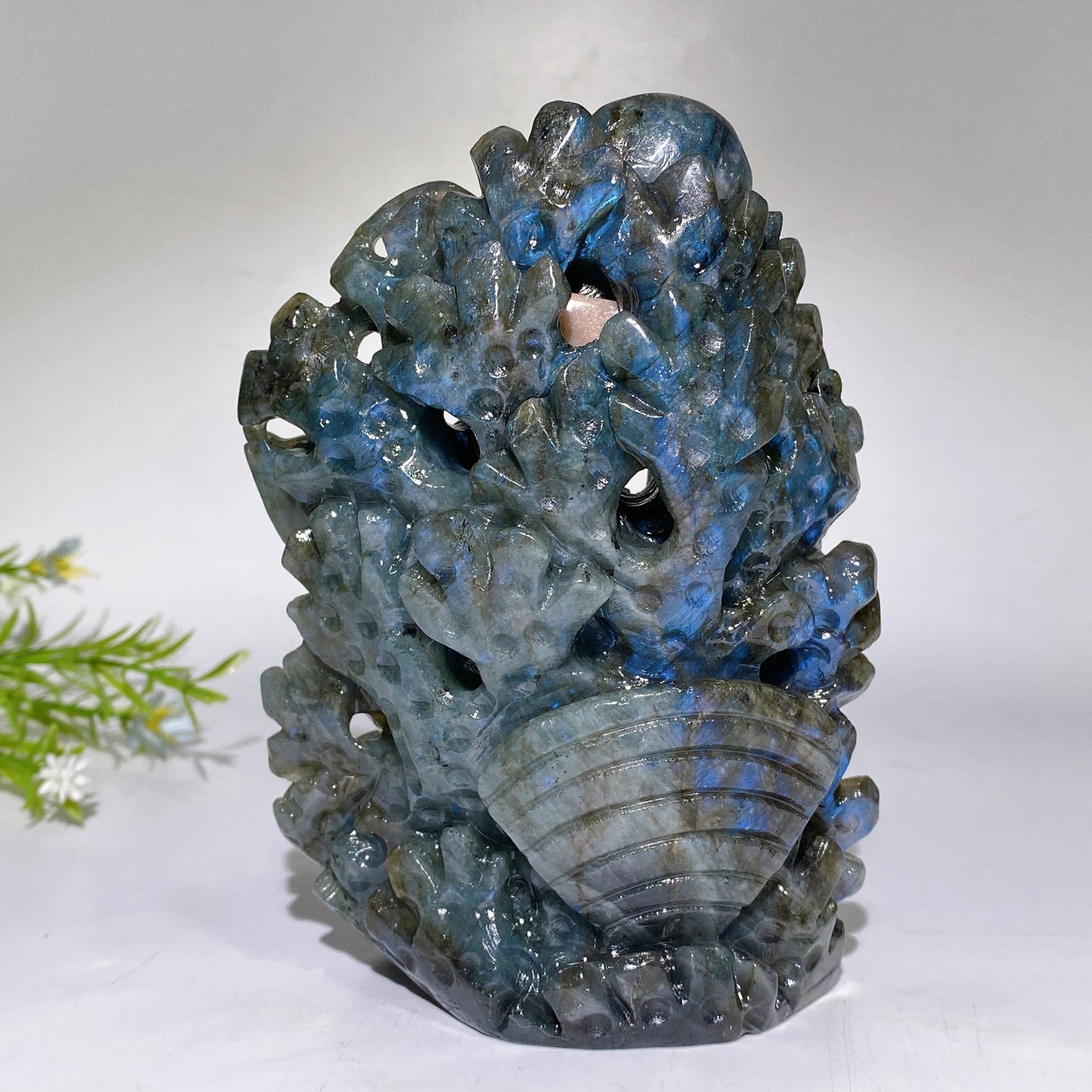 14cm Unique Hand Carved Ocecan World with Fish Dolphin Octopus Shell Coral Carving Free Form Crystal Healing Bulk Wholesale