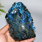 14cm Unique Hand Carved Ocecan World with Fish Dolphin Octopus Shell Coral Carving Free Form Crystal Healing Bulk Wholesale