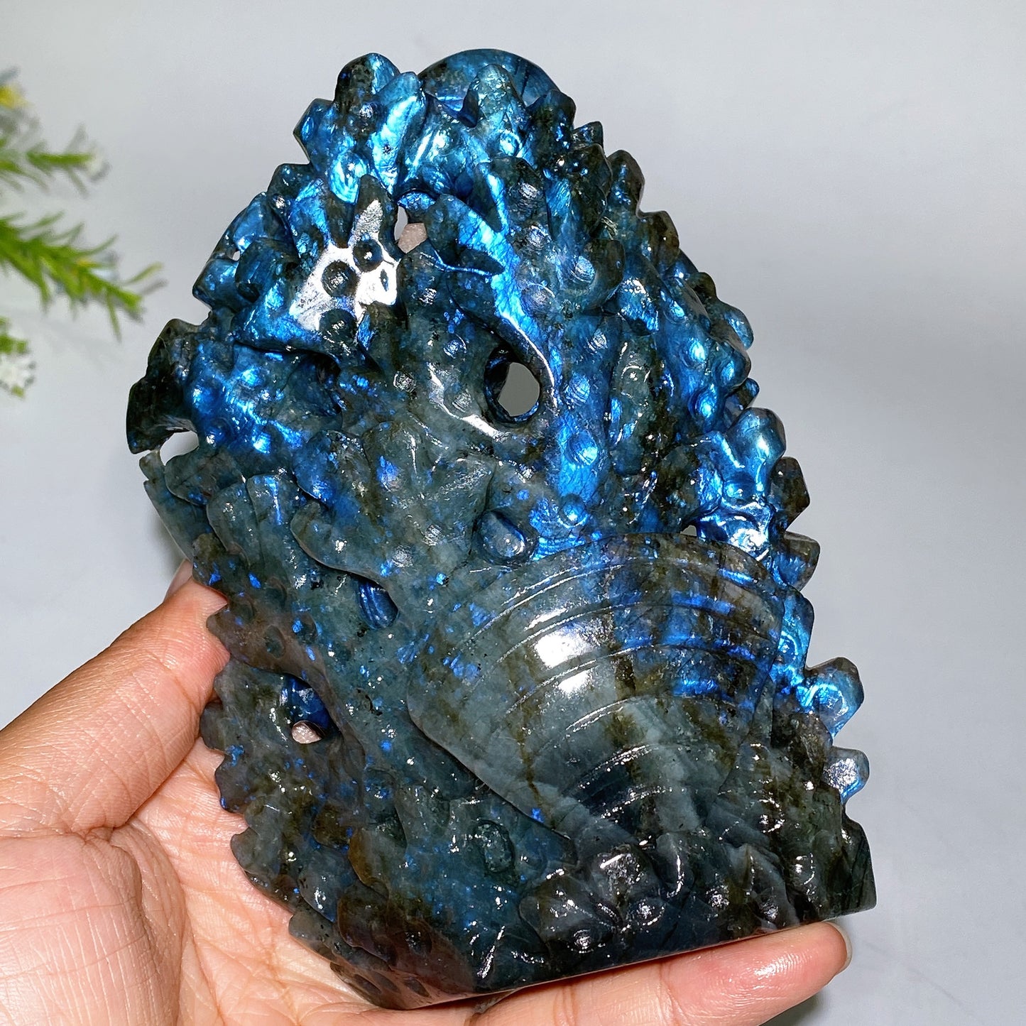 14cm Unique Hand Carved Ocecan World with Fish Dolphin Octopus Shell Coral Carving Free Form Crystal Healing Bulk Wholesale