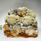 Hand Carved Unique Jade Ocean World Fish Coral Carving Free Form Crystal Healing Bulk Wholesale
