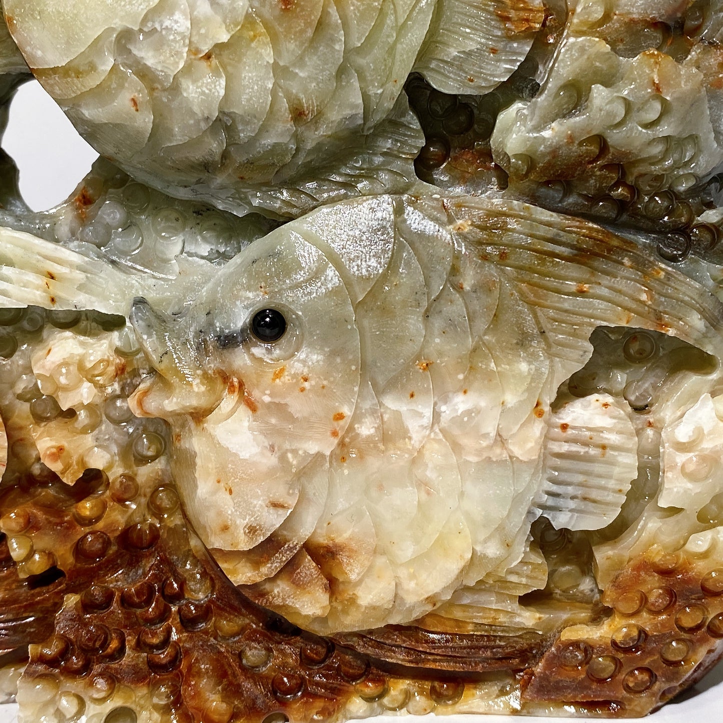 Hand Carved Unique Jade Ocean World Fish Coral Carving Free Form Crystal Healing Bulk Wholesale