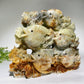 Hand Carved Unique Jade Ocean World Fish Coral Carving Free Form Crystal Healing Bulk Wholesale