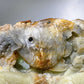 Hand Carved Unique Jade Ocean World Fish Coral Carving Free Form Crystal Healing Bulk Wholesale