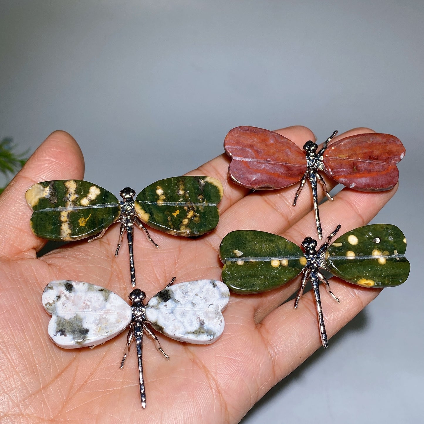 Ocean Jasper Dragonfly Carving Crystal Healing Bulk Wholesale